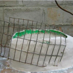 DIY-recycled-plastic-bottle-swan-pot-planter-4