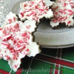 Things You Never Thought to Do With Christmas Cookie Cutters-peppermint-bark