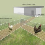 DIY-Chicken-Tunnel-14