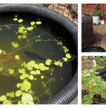 DIY Decorative Fish Pond From Old Car Tires