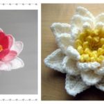 Crochet Pretty Water Lily with Free Pattern (Video)