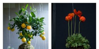 DIY Hanging String Garden