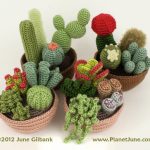 Cactus Amigurumi Collection Crochet pattern