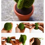 Cactus Amigurumi free Crochet pattern
