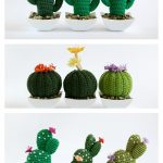 Crochet Cactus Amigurumi