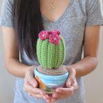 Cactus Amigurumi free Crochet pattern
