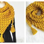 Rose Petals Shawl Free Crochet Pattern