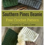Southern Pines Beanie Free Crochet Pattern