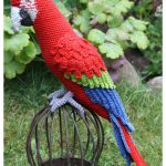 Parrot Amigurumi Crochet Pattern
