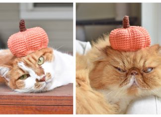 Pumpkin Hat For Pets Free Crochet Pattern