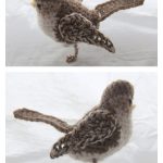 Female House Sparrow Crochet Pattern