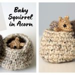 Baby Squirrel in Acorn Free Crochet Pattern