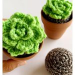 Pointy Leaf Succulents Crochet Pattern