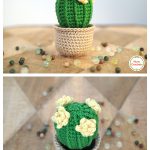 Barrel cactus Amigurumi Free Crochet Pattern